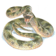 Snakes were as terrifying 10 million years ago as they are today. Artistic representation of the snake by Jim Robbins